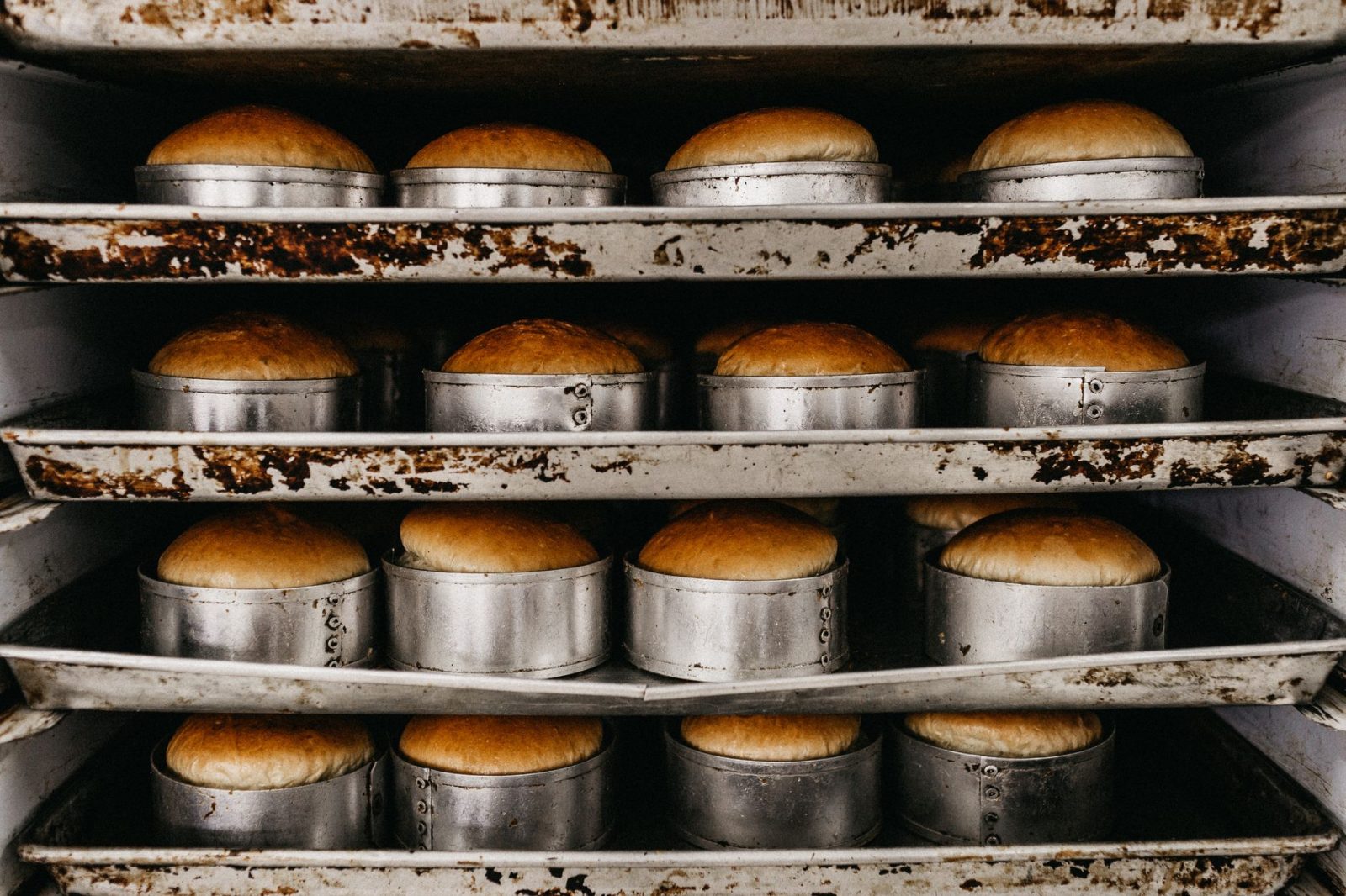 Rækker af gyldne brødboller i bageplader klar fra ovnen